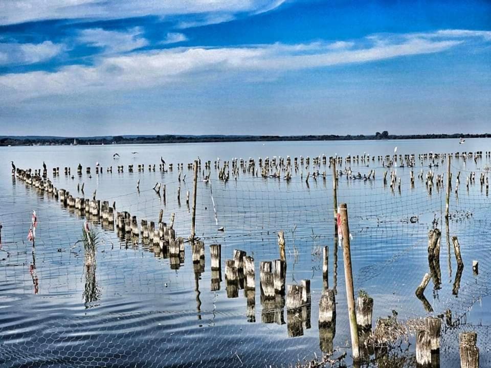 Duemmerliebe Mit Garten, 10 Min. Fusslaeufig Zum See Hüde Exterior foto